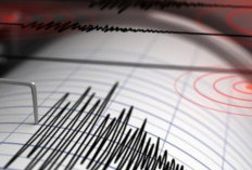 Ancaman Gempa Megathrust, Kuncinya Jangan Panik, Ini Langkah Menyelamatkan Diri saat Gempa Terjadi