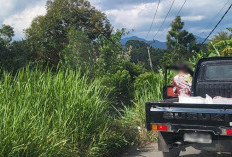 Lokasi Longsor di Pensiunan Dijadikan Tempat Buang Sampah