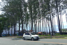 Sistem Sewa Lahan akan Diberlakukan Bagi Pedagang Pantai Panjang, Segini Nilainya