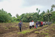 Dinas TPHP Usulkan 1.800 Hektare Cetak Sawah Baru