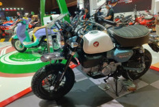  Honda Monkey 125 Versi 2025: Tampil Mentereng dengan 3 Varian Warna