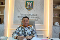 Pembukaan Kawasan Tambang Emas di Seluma Terus Berprogres