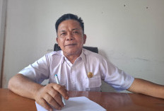 Dana Hibah Ormas 2026 di Kabupaten Lebong Nihil