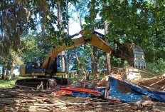 Pemkot Bengkulu Bongkar Bangunan Kawasan Pantai Panjang