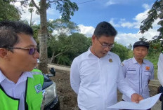 Jaksa Cek Proyek Rp 28 Miliar Milik BPBD Kepahiang: Ada Apa?