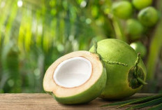 Sederet Manfaat Buah Kelapa untuk Kecantikan 