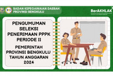 Pendaftaran Seleksi PPPK Tahap 2 Hingga 15 Januari, Berikut Cara Pendaftarannya