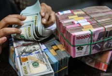  Cuma Modal Isi Kuesioner Berpeluang Dapat Saldo DANA Hingga Ratusan Ribu Rupiah:Begini Caranya