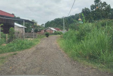 Jalan Menuju SMKN 1 Kepahiang Rusak, Butuh Perhatian 