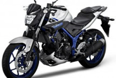 Review Kekurangan Motor Yamaha MT-25 dari Segi Performa dan Stabilitas
