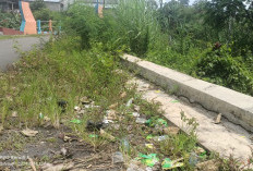 Meresahkan Masyarakat: Jembatan Ketapang Dusun Kepahiang Jadi Tempat Mabuk Tuak dan Komik?