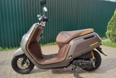 Spesifikasi Honda Dunk Lengkap dengan Harganya, Cek di Sini!