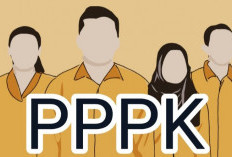 17 Peserta Tidak Lulus Seleksi PPPK Guru Tahap I