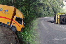 2 Mobil Kecelakaan di Jalan Gunung Kepahiang-Bengkulu Tengah