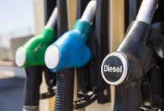 Cara Tepat Untuk Memilih Bahan Bakar Mesin Diesel