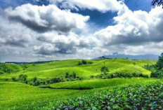  7 Objek Wisata di Kabupaten Kepahiang Bisa Jadi Atensi Saat Libur Nataru 2025, Cek Daftarnya!