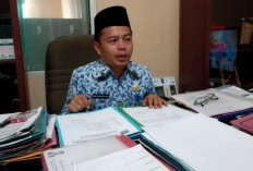 Kebutuhan Formasi CASN 2024 Masih Disusun