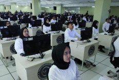 KemenPAN-RB Siapkan 3 Skema Gabungan Rekrutmen PPPK 2024 Tahap II 