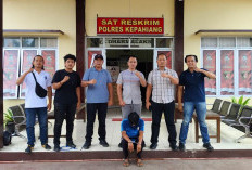 Nekat Maling Kopi di Kebun Warga: Petani Kabupaten Kepahiang Disambar Elang Juvi