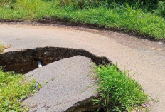 Jalan Longsor di Karang Endah Kepahiang: Sengsarakan Warga yang Melintas 