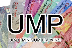 Apindo Usulkan Ada UMP Industri, Ini Tanggapan Manaker