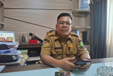 24 Paket Tuntas Lelang, BPBJ Lebong Hemat Rp 581 Juta