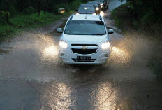 Begini Cara Merawat Mobil saat Musim Hujan, Bagian Ini Harus Dicek Agar Aman