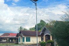 Anggaran Lampu Jalan Desa Bukit Barisan di Kepahiang Habiskan Ratusan Juta: Tapi Sayang...
