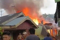  Sembari Diguyur Hujan, 1 Rumah di Kepahiang Hangus Terbakar, Merugi Rp 350 Juta