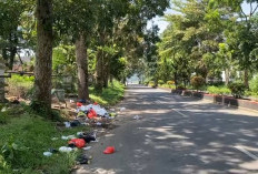 Ketahuan Buang Sampah Sembarangan di Kepahiang Denda Rp 500 Ribu: Perbup Tentang Sampah Bakal Diberlakukan