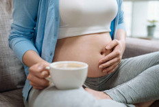 Ini 3 Minuman yang Aman Dikonsumsi Ibu Hamil 