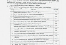 Pemprov Bengkulu Buka Seleksi Terbuka 19 Jabatan Pimpinan Tinggi Pratama
