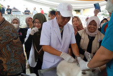 Disnakeswan Provinsi Bengkulu Siapkan 10 Ribu Vaksin Anti Rabies