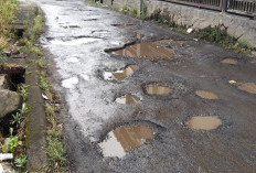 Dambakan Jalan Menuju SMPN 01 Kepahiang Dihotmix