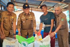 Tepati Janji, Bupati Bengkulu Tengah Salurkan Puluhan Ton Pupuk Gratis