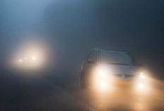 Bahaya Nyalakan Fog Lamp di Malam yang Cerah 