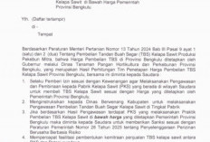 Harga TBS Sawit Bengkulu Belum Stabil, Pemprov Terbitkan Dua Surat Tegas