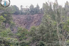 Karhutla di HL Bukit Jupi Kepahiang, KPHL: Sengaja Dibakar untuk Perkebunan 