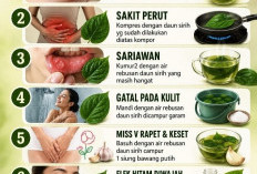 1 Lembar Daun Sirih, Segudang Manfaat: Tips Tradisional Turun-Temurun yang Masih Relevan Sampai Sekarang