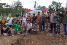 Pemdes Suka Merindu Kabupaten Kepahiang Tanam Jagung Program Ketahanan Pangan 'Sade Sahe'