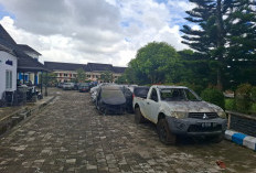 Rencana Lelang Mobnas Pemkab Lebong, Puluhan Kendaraan Sudah Dikandangkan