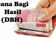 Rp 25 Miliar DBH Tahun 2024 Belum Diterima Pemkab Rejang Lebong