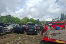 Lelang Mobnas Pemkab Lebong: Rp1,9 Miliar Masuk Kas Daerah, 1 Pemenang Lelang Wanprestasi