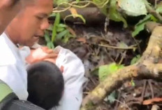 Sempat Dilaporkan Hilang, Pendaki Bukit Kaba Ditemukan Selamat