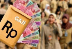 NELANGSA! Ribuan PPPK 2021/2022 Belum Terima KGB, Penyebabnya PermenPAN-RB 'Ompong' 