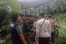  8 Orang Sudah Diperiksa, Dugaan Tanam Sawit di Hutan Lindung 