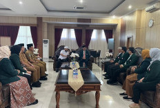 Pemprov dan IDI Bengkulu Dorong Kolaborasi Wujudkan Pelayanan Kesehatan Berkualitas