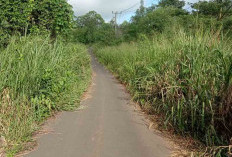 Warga Talang Sawah Harapkan Tebas Bayang