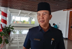 Perekaman Penduduk Wajib KTP di Bengkulu Capai 96 Persen