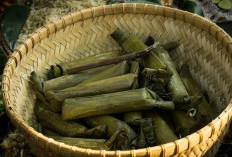 Lontong Plastik atau Lontong Daun, Mana yang Lebih Sehat?